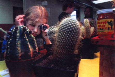 Student using jeweler's loupe to closely observe cactus