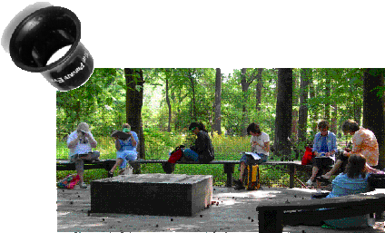 Teachers using Private Eye loupes in the Birmingham Botanical Gardens