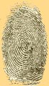 The Private Eye Fingerprint Gallery