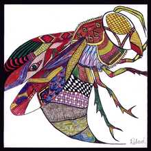 The Private Eye Student Art Designer Insect