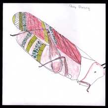 The Private Eye Student Art Designer Insect