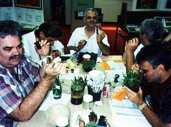 Teachers using jeweler's loupes at a Private Eye Workshop