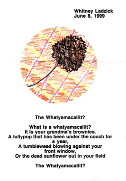 Seed Pod