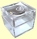 Clear Acrylic Magnifier Specimen Box