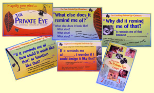 Private Eye Inquiry Poster Set