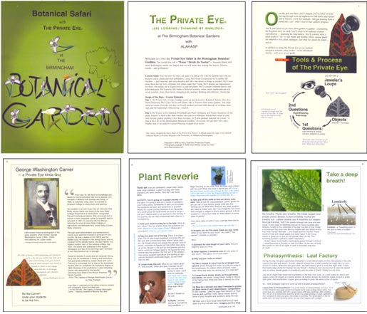 Sample pages from Botanical Safari with The Private Eye at the Birmingham Botanical Gardens