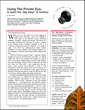 CSTA Featuring The Private Eye